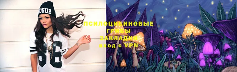 Псилоцибиновые грибы Magic Shrooms  Магадан 